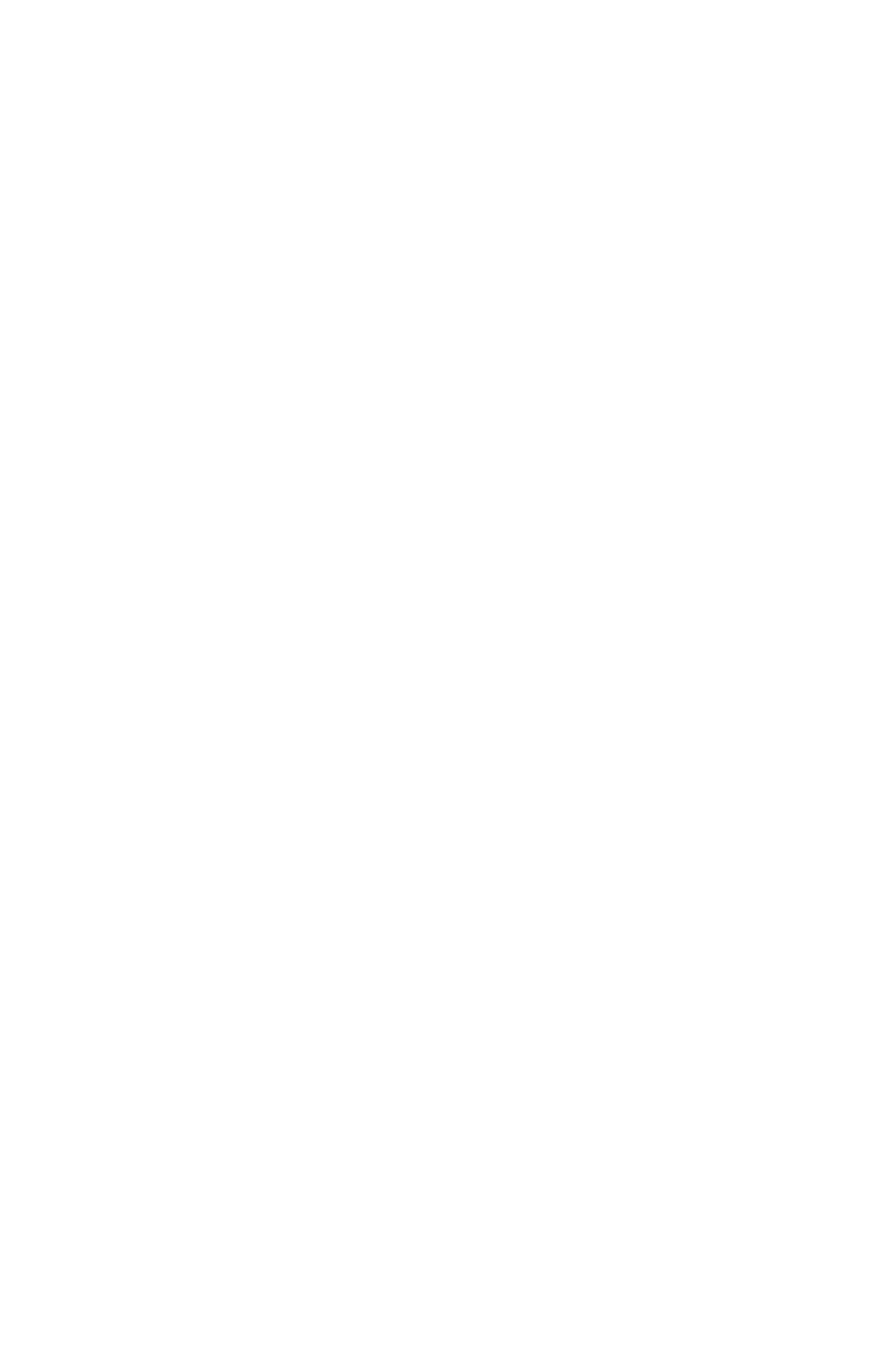 RATIBOR Security